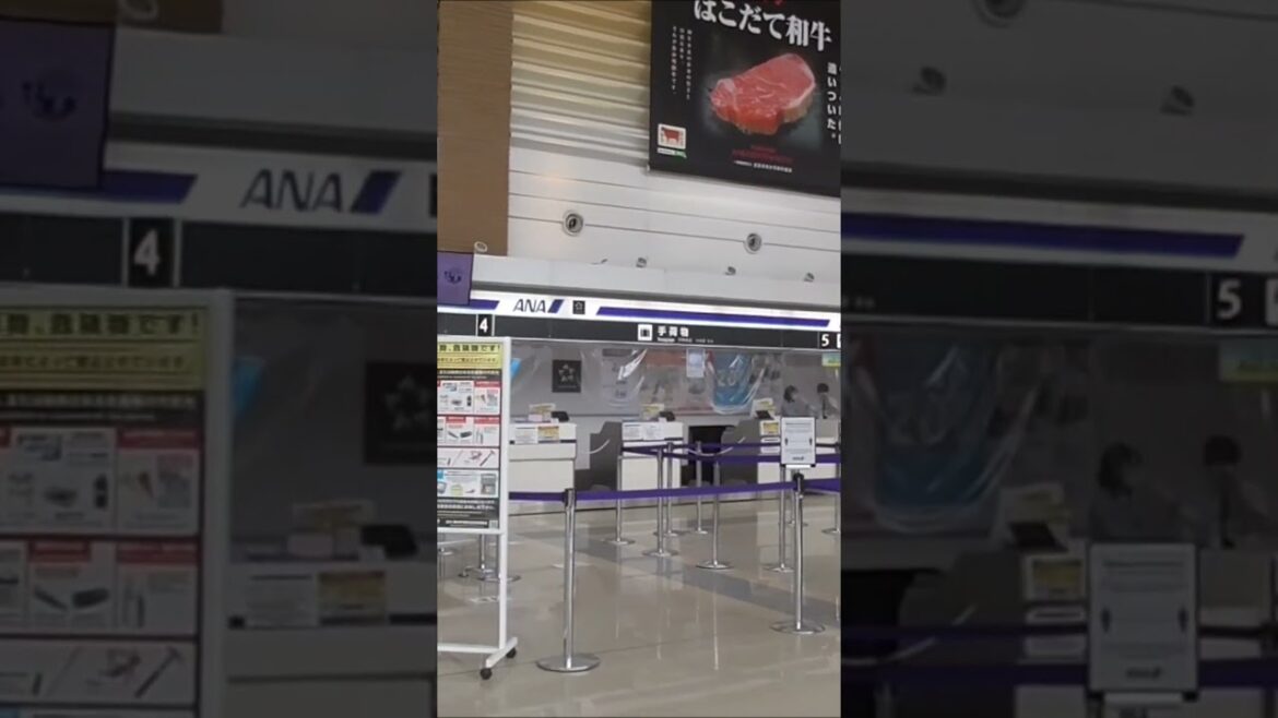 北海道　函館空港　函館市　車中泊で北海道一周 の旅　＃shorts ＃Japan ＃Hokkaido ＃北海道　＃函館