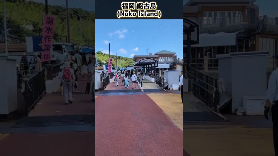 福岡 能古島(Noko Island)