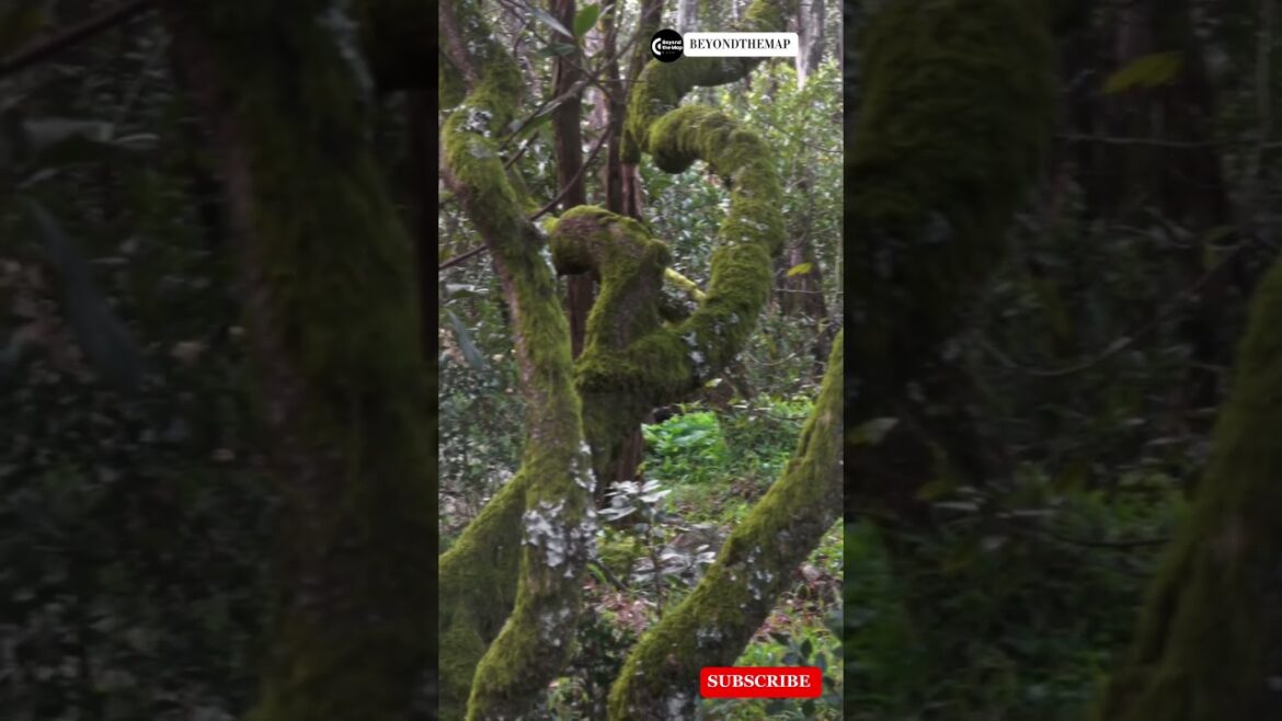 places in Japan that’s don’t feel real!#travel #explore #Adventure #japan places in Japan that’s don’t feel real!#travel #explore #Adventure #japan