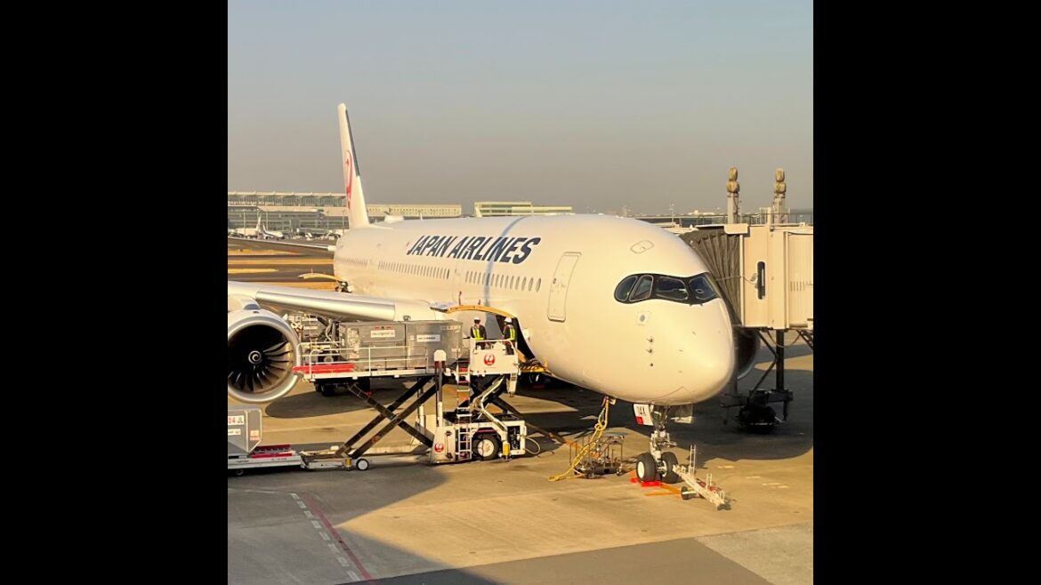 東京ライブ 台風直撃 江戸川区 Typhoon hits Tokyo