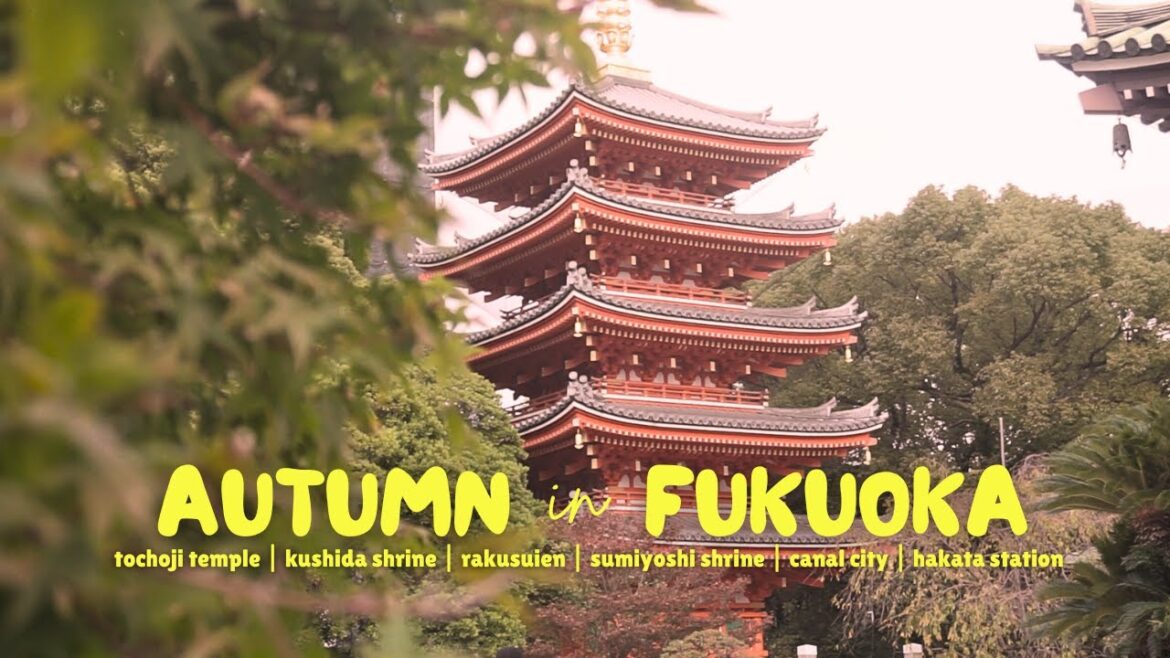 AUTUMN in FUKUOKA: Part 1 AUTUMN in FUKUOKA: Part 1