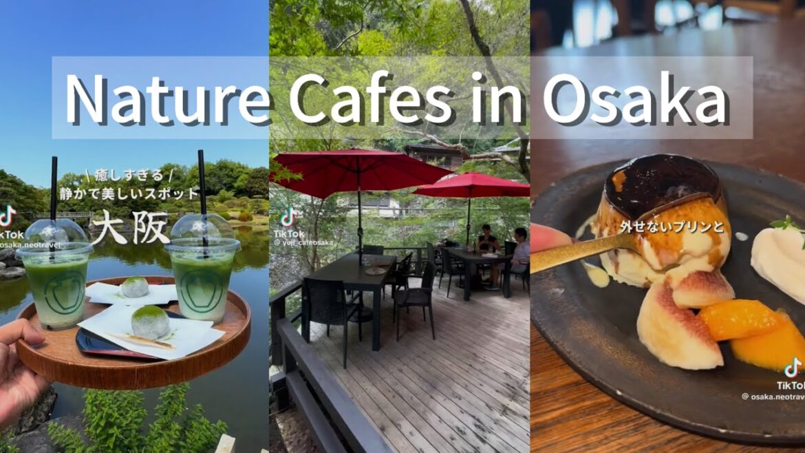 15 Best Nature Cafes in Osaka | TikTok compilation🌟