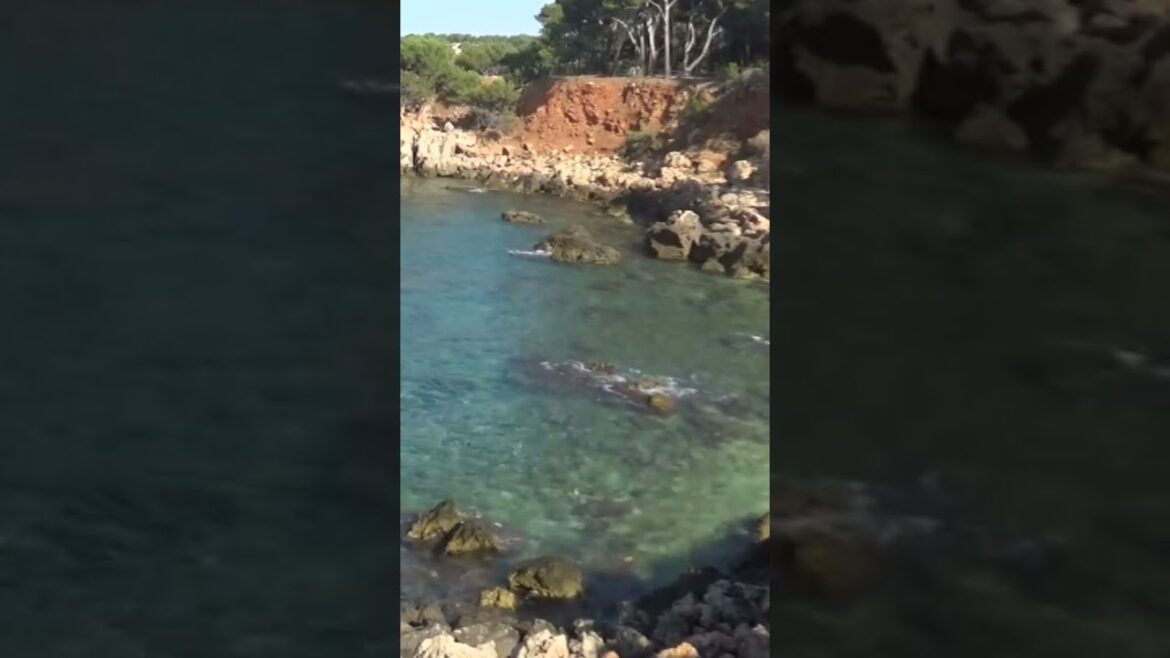 Crique au bord de la mer Crique au bord de la mer