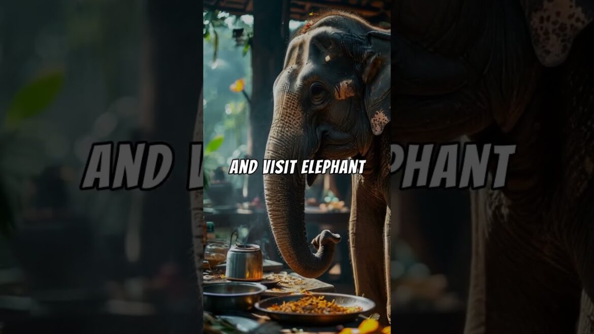 Best Solo Travel Destinations in Asia