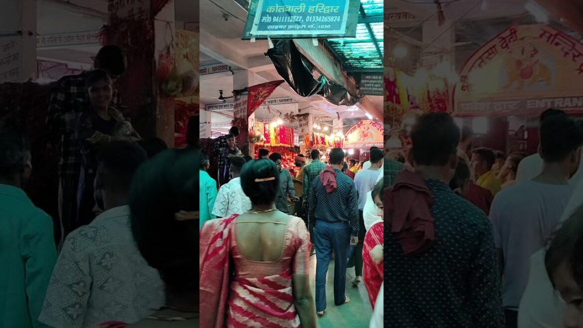 Mansa devi haridwar ganga ghat #song #music #love #hindisong #haridwartourism #gangaaartiharidwar Mansa devi haridwar ganga ghat #song #music #love #hindisong #haridwartourism #gangaaartiharidwar