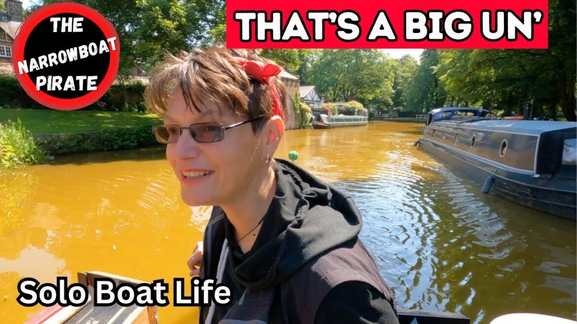 Who's Bright Idea was this? | A Lighthouse on the Canal | Boat Life