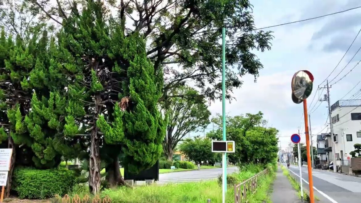 [4K] 郊外の素晴らしい散歩 || 埼玉県 || 日本散歩2024 || Japan Virtual Walking Tour ||