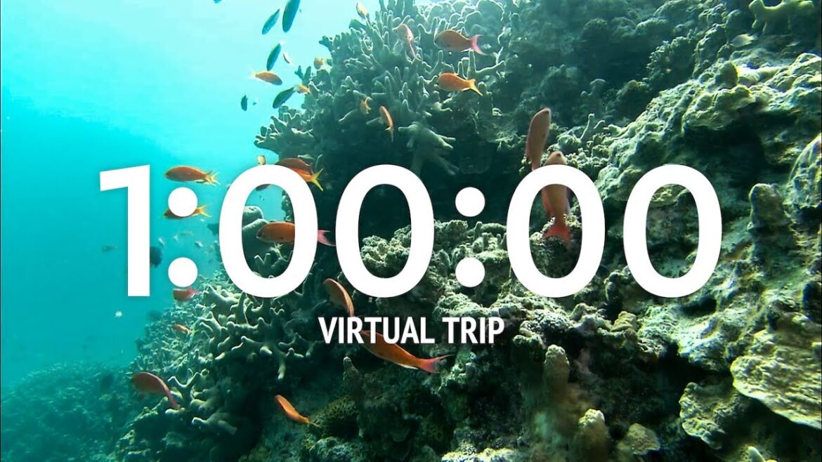 1 Hour Timer - Japan “Okinawa” (Relaxing and Calm Music)