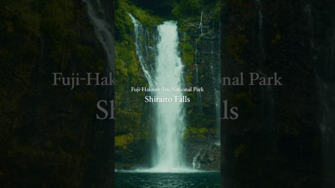 Fuji-Hakone-Izu National Park Shiraito Falls