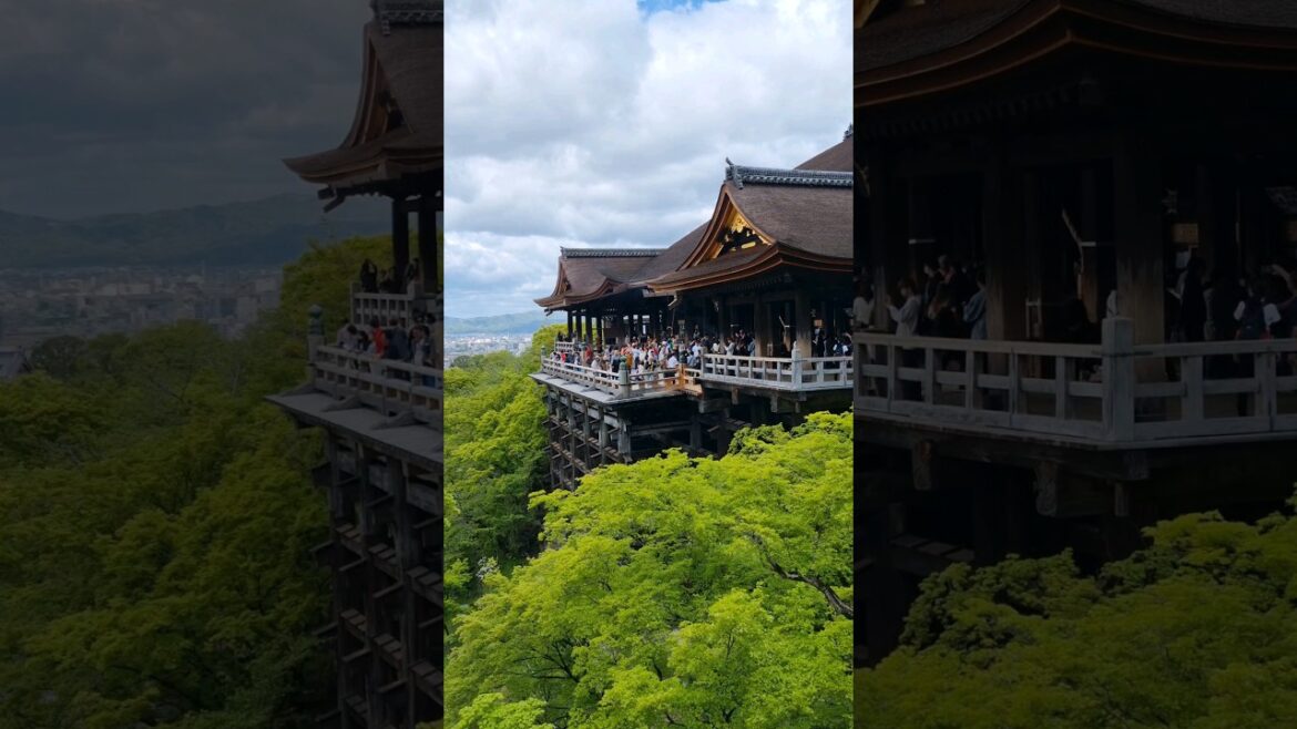 I Finally Understand Why Everyone Loves Kyoto