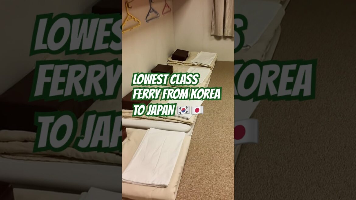 Korea to Japan FERRY! #korean #korea #newcamellia #japantravel #koreatravel #backpacker #travel
