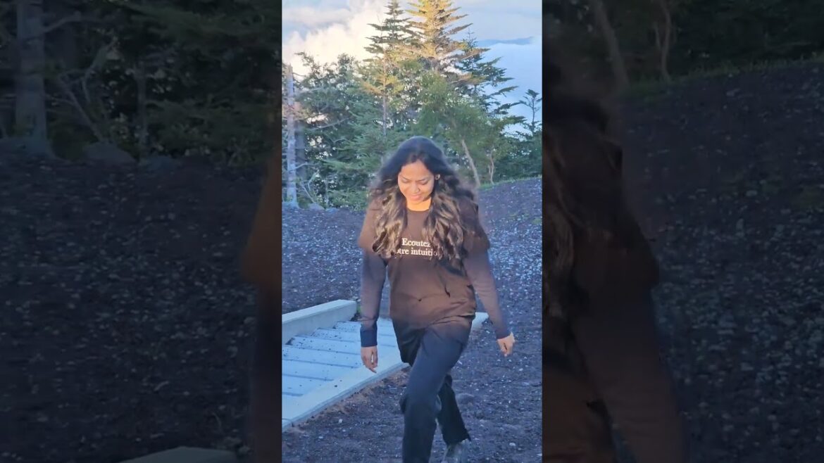 Mount Fuji View #shorts #youtubeshorts