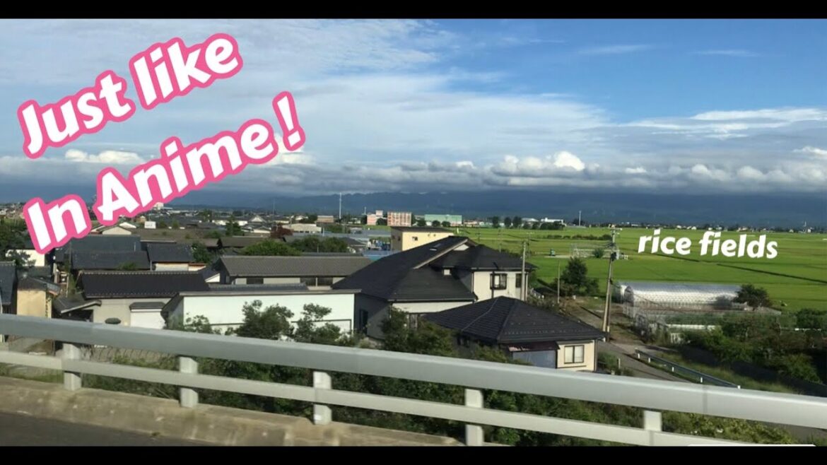 Put Your Mind At Ease ... A Road Trip To Niigata, Japan with occasional bus stops 🚌
