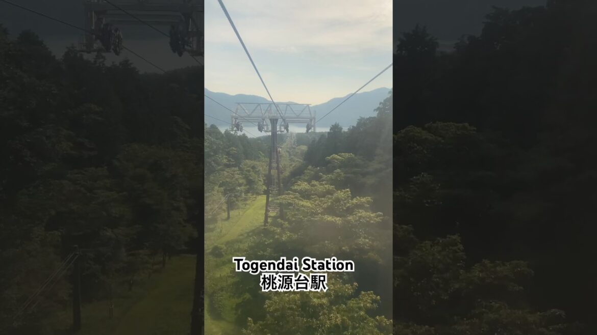 Togendai Station Arrival • 桃源台駅 • Hakone Trip #hakone #ropwway
