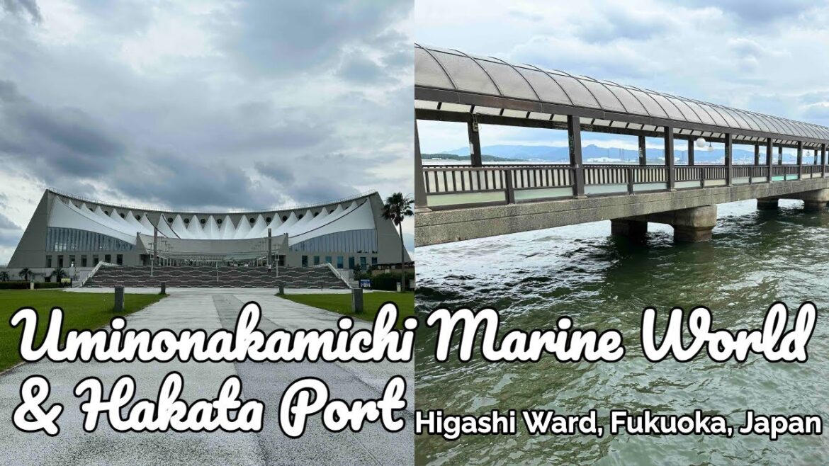 UMINONAKAMICHI MARINE WORLD & HAKATA PORT #marineWorld #hakataPort #fukuoka #japan #TaraAnythingGoes