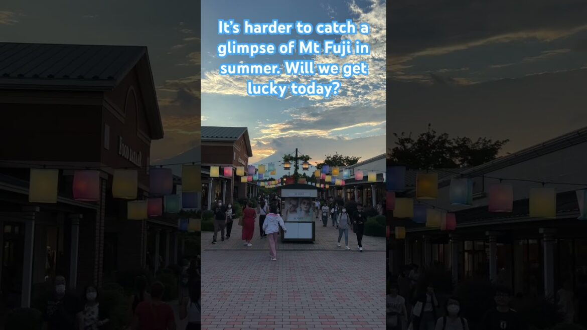 A glimpse of Mt. Fuji in summer 🗻🌄