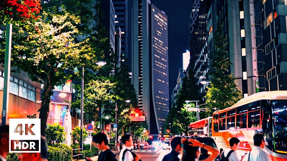 Summer night in Shinjuku, Tokyo | 4K HDR with Japanese ambience Summer night in Shinjuku, Tokyo | 4K HDR with Japanese ambience
