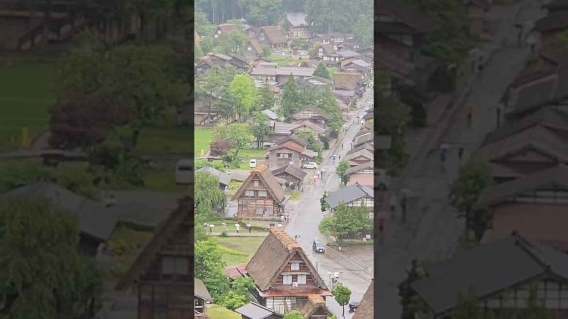 나고야에 간다면 하루는 시라카와고 #shirakawago #summer #nagoya #travel