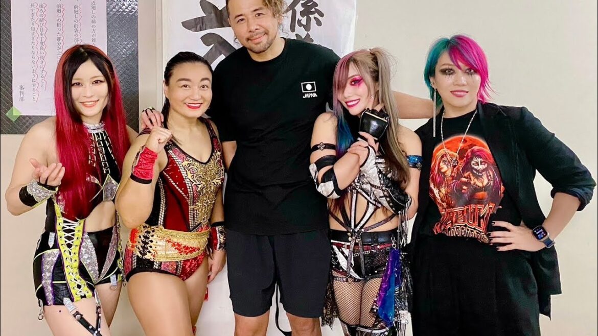 5年ぶりのWWE日本公演 5年ぶりのWWE日本公演