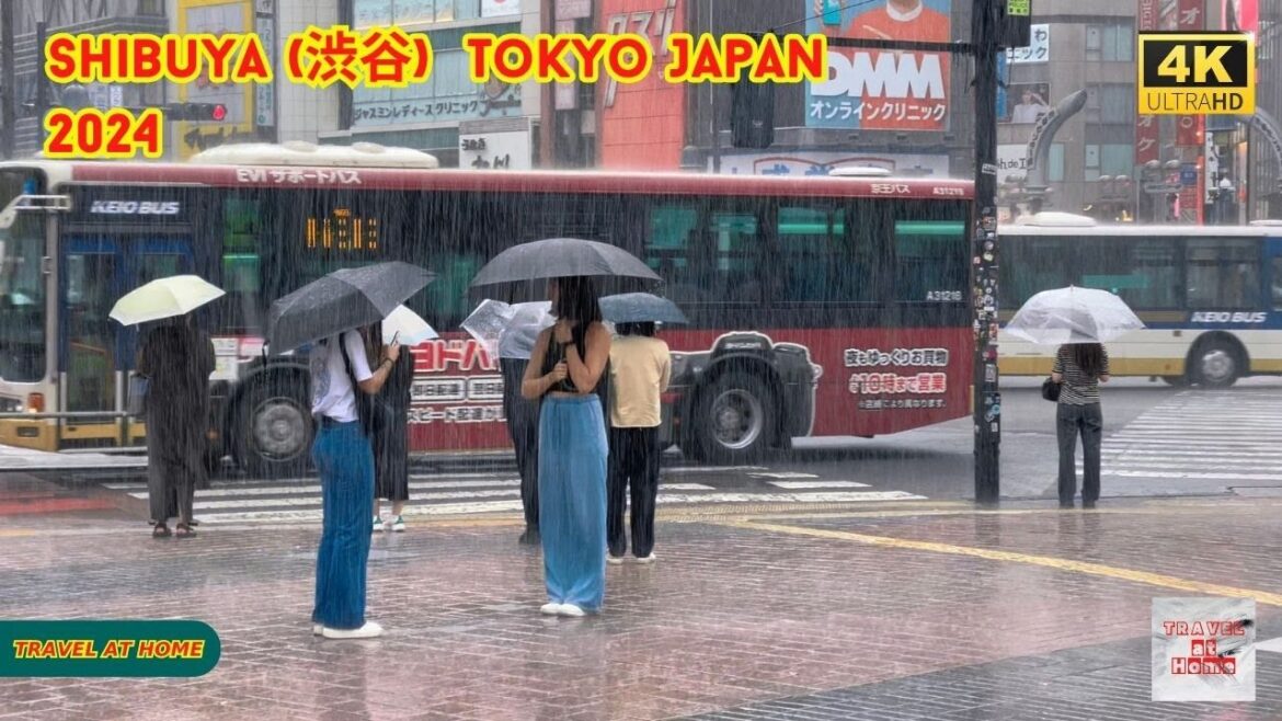 4k hdr japan travel 2024 | Heavy Rain Walk in Shibuya (渋谷) Tokyo Japan |  Typhoon Ambi （台風7号）