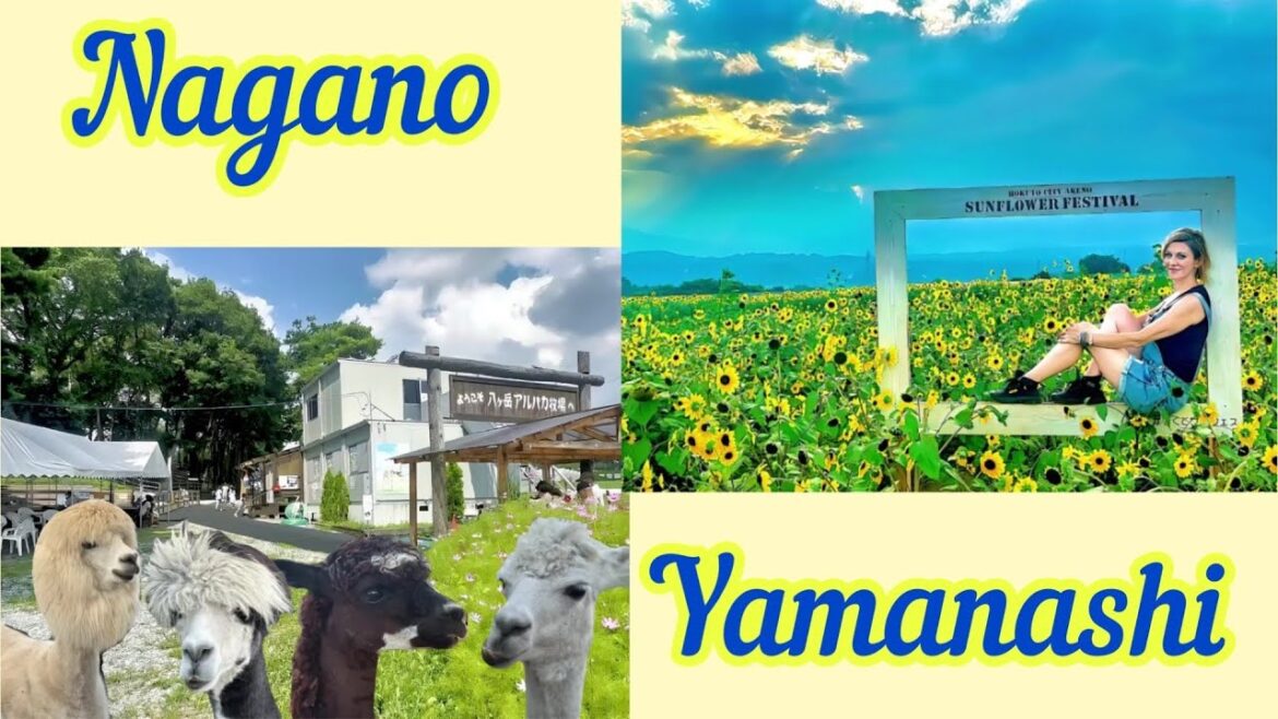 Summer Fun in Nagano and Yamanashi