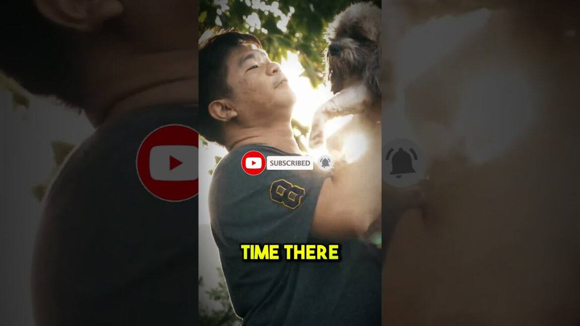 7 Best Things To Do In Tokyo | Tokyo Tour Guide 2024 7 Best Things To Do In Tokyo | Tokyo Tour Guide 2024