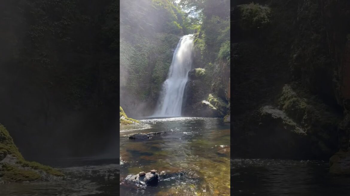 仙台市にある日本三名瀑の一つ、今日の秋保大滝（2024/8/15 木曜日）/ amazing giant waterfall #shorts #秋保 #滝 #宮城県 #仙台 #飛沫 #秋保大滝