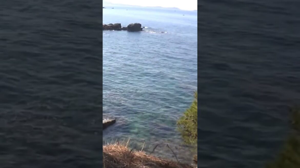 Chant des cigales au bord de la mer Chant des cigales au bord de la mer