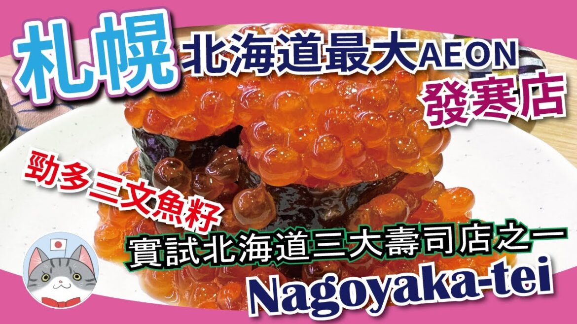 【食玩買攻略】全北海道最大型 AEON | 道內三大迴轉壽司介紹 | 道內唯一小豬CAFE 探店【行程規劃】 【食玩買攻略】全北海道最大型 AEON | 道內三大迴轉壽司介紹 | 道內唯一小豬CAFE 探店【行程規劃】