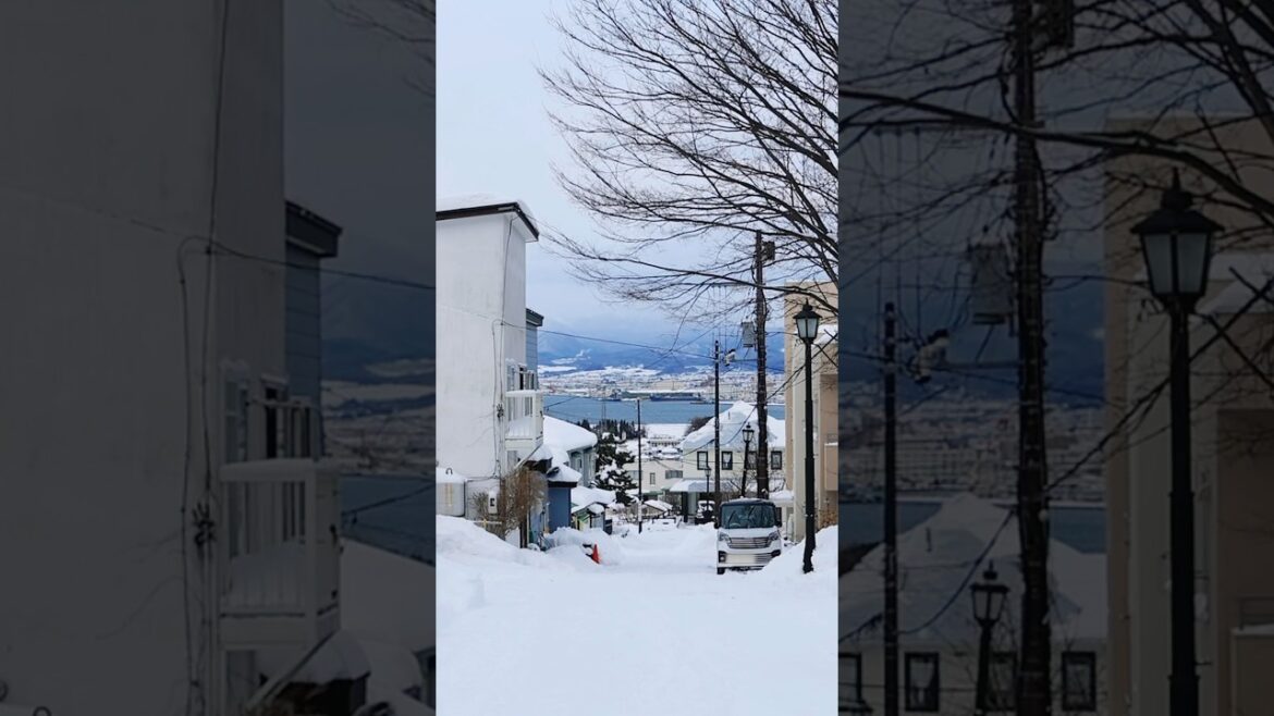 大雪の北海道函館市 #snow #asiantravel #winter #travel #hokkaido #japan #japantravel #hakodate #北海道旅行 #函館 日本旅行
