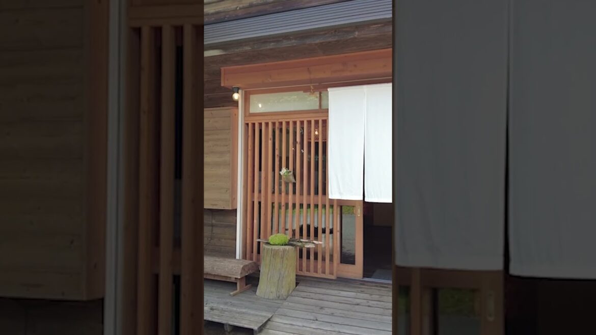 【長野市戸隠 手打ちそば 岳】高原野菜の天ぷらと濃厚な蕎麦湯が絶品