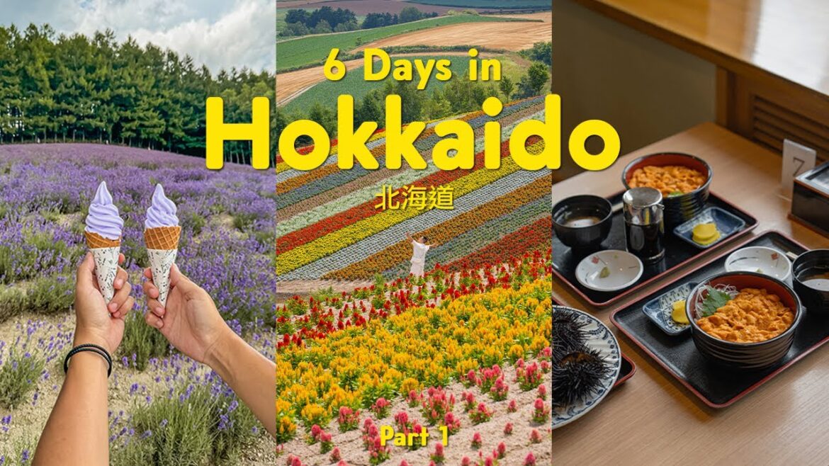 6 days in Hokkaido 🇯🇵 北海道 (must-eat, furano flower field, aesthetic cafes) | part 1 | japan trip