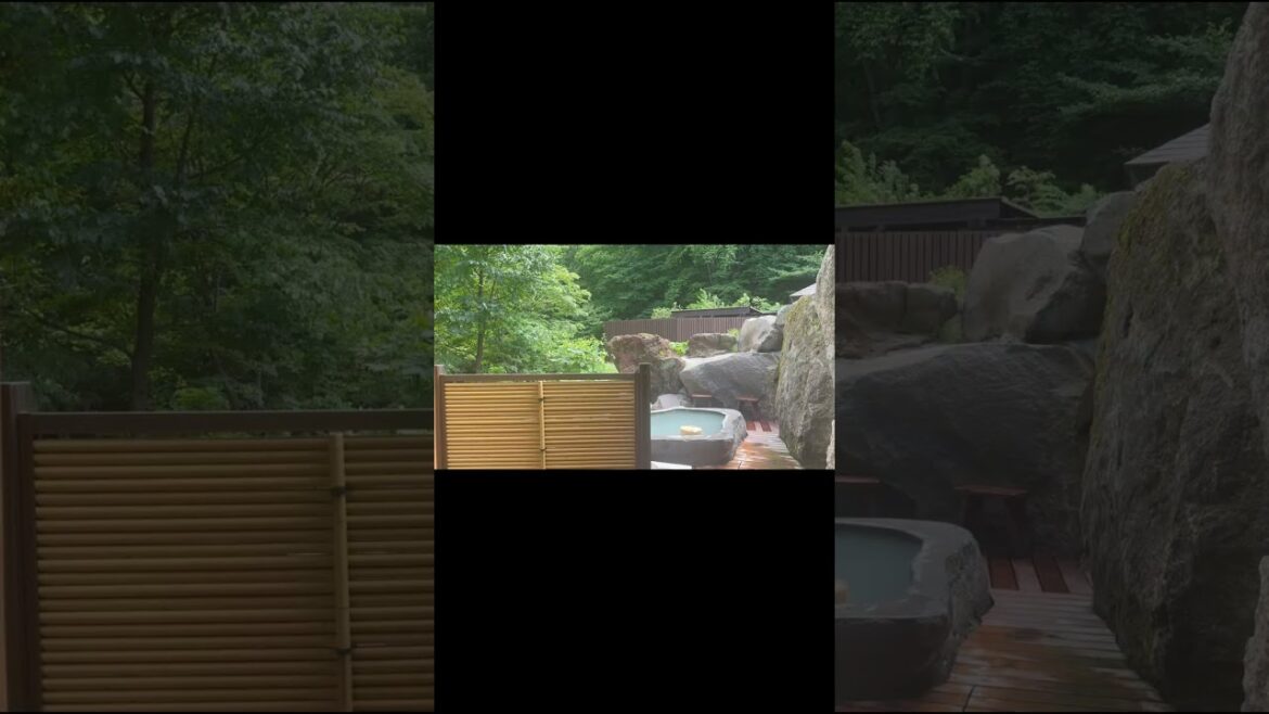 일본 여행 브이로그 캡쳐 2탄 (도호쿠) [日本旅行 ブイログ キャプチャー 2弾 (東北)]