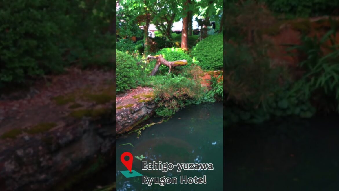 一分鐘參觀日本傳統溫泉旅館 #越後湯澤 #龍言飯店 #日本旅遊 #ryugon 一分鐘參觀日本傳統溫泉旅館 #越後湯澤 #龍言飯店 #日本旅遊 #ryugon