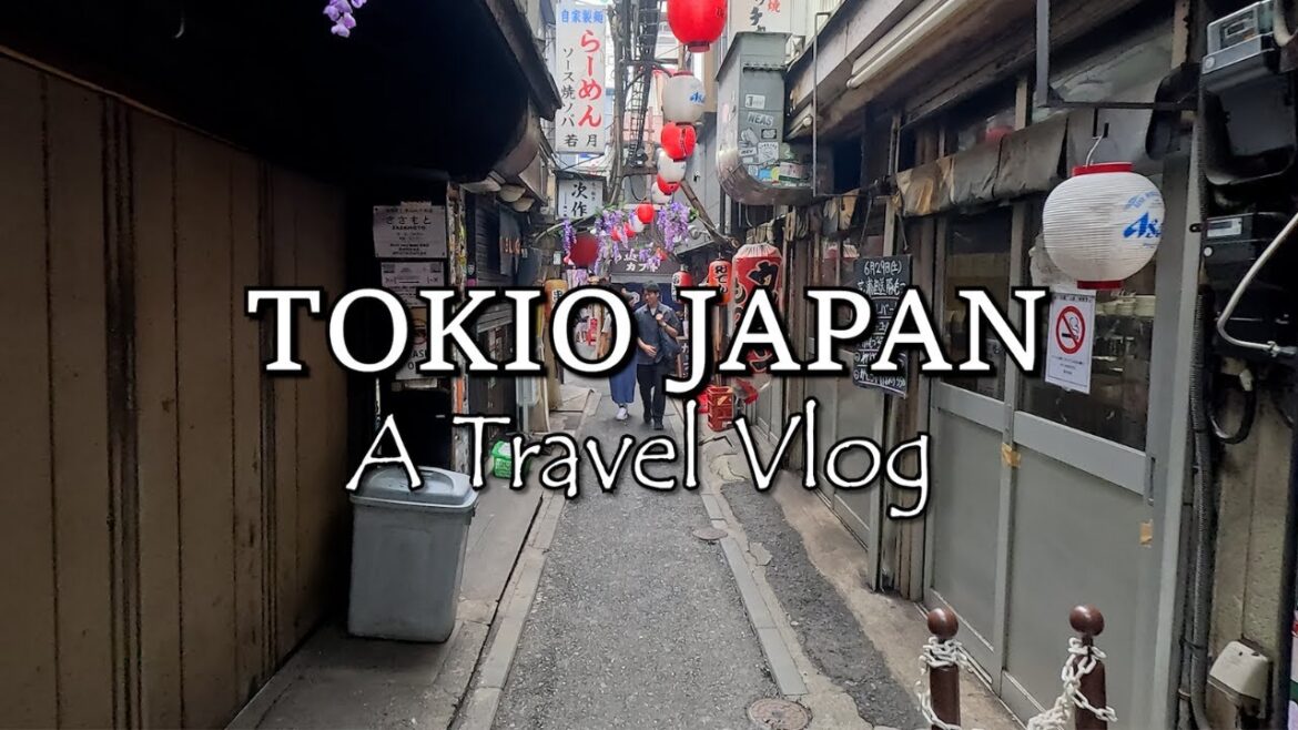 Tokyo in Summer | Japan Travel Vlog | Sensoji, Imperial Palace, Shinjuku, Meji Shrine, Shibuya 1 Day