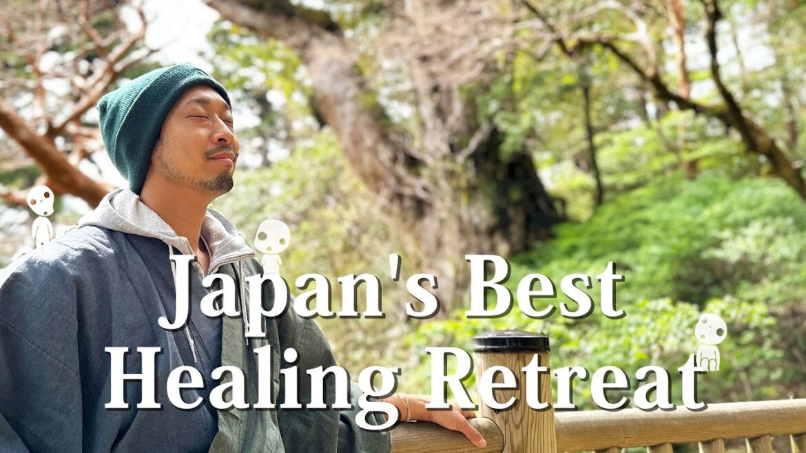 The Best Healing Experience in Japan! Visit Yakushima🇯🇵