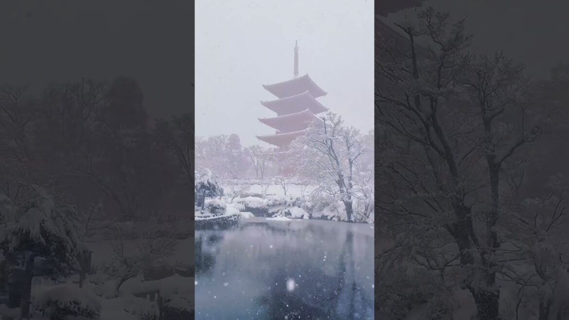 Kyoto in winter. -冬の京都-Kyoto, Japan #facts #japantravel #shorts #japantrip #travel #asiantravel