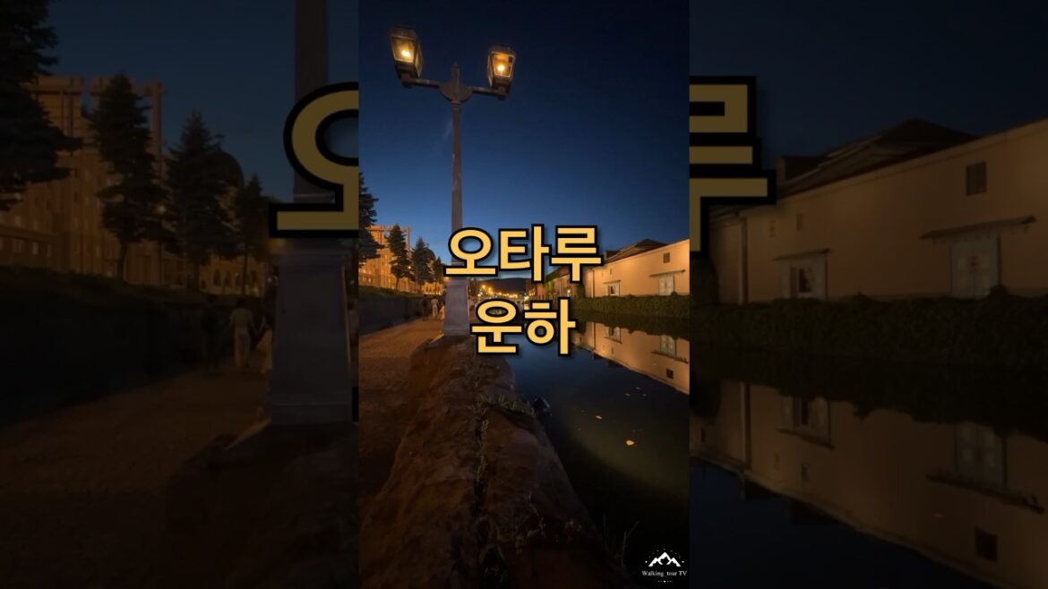 #오타루운하 #여기어디