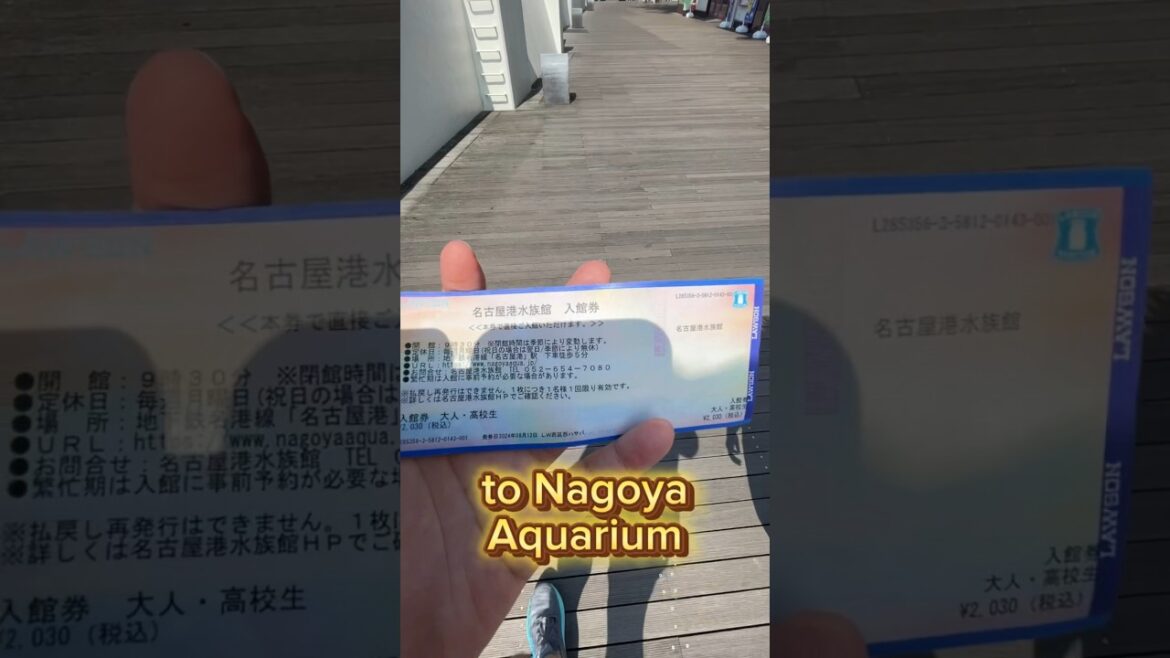 Came to see Orca training and Belluga #japan #nagoya #travel #summer #holiday #aquarium