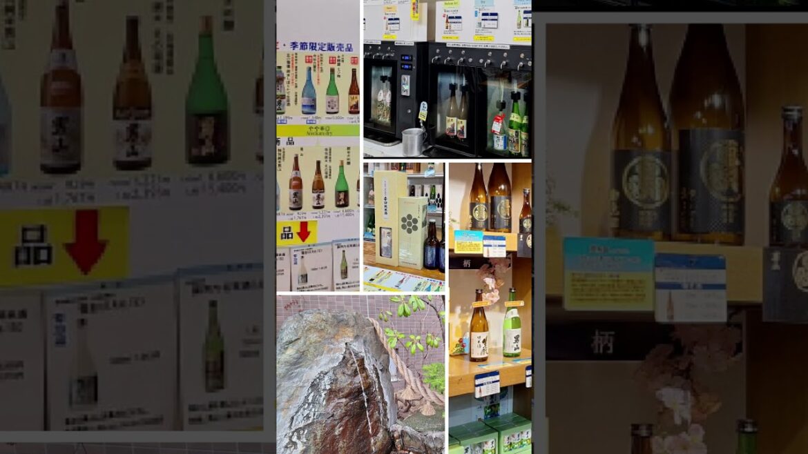 【初夏の北海道シリーズDAY4】網走から石北線で旭川へ　男山酒造・高砂酒造訪問　夜は旭川の名店独酌三四郎で北海道の旬を堪能する　 #旭川 #男山酒造 #高砂酒造 #独酌三四郎 #日本酒 #旅行 #蜂屋