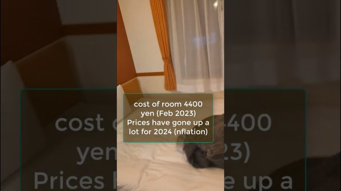 Travel Hakodate | Toyoko Inn Hokkaido Hakodate Ekimae Asaichi | Standard Single Room Review Japan Travel Hakodate | Toyoko Inn Hokkaido Hakodate Ekimae Asaichi | Standard Single Room Review Japan