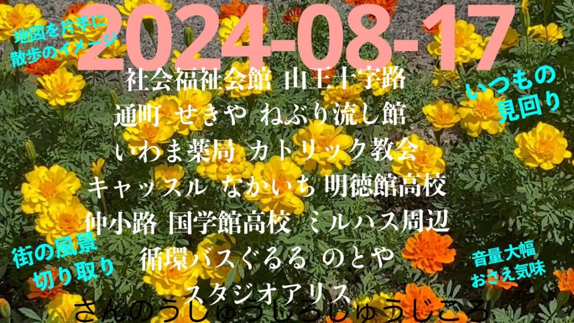 2024-08-17さんのうじゅうじろじゅうじごろ