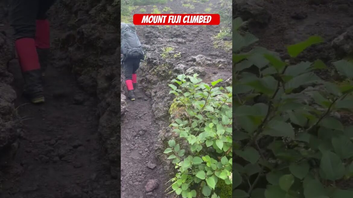 Japan Mount Fuji Climbing #shorts#viral#videos#Japan Japan Mount Fuji Climbing #shorts#viral#videos#Japan