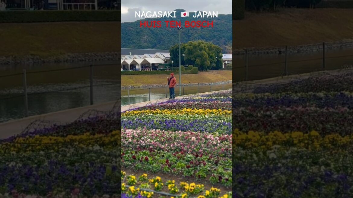HUIS TEN BOSCH π―π΅ a DUTCH EXPERIENCE | NAGASAKI π―π΅ JAPAN HUIS TEN BOSCH π―π΅ a DUTCH EXPERIENCE | NAGASAKI π―π΅ JAPAN