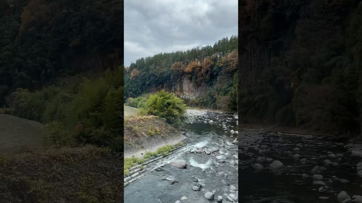The best train view in Japan 🇯🇵🍂 #shorts #japan #autumn
