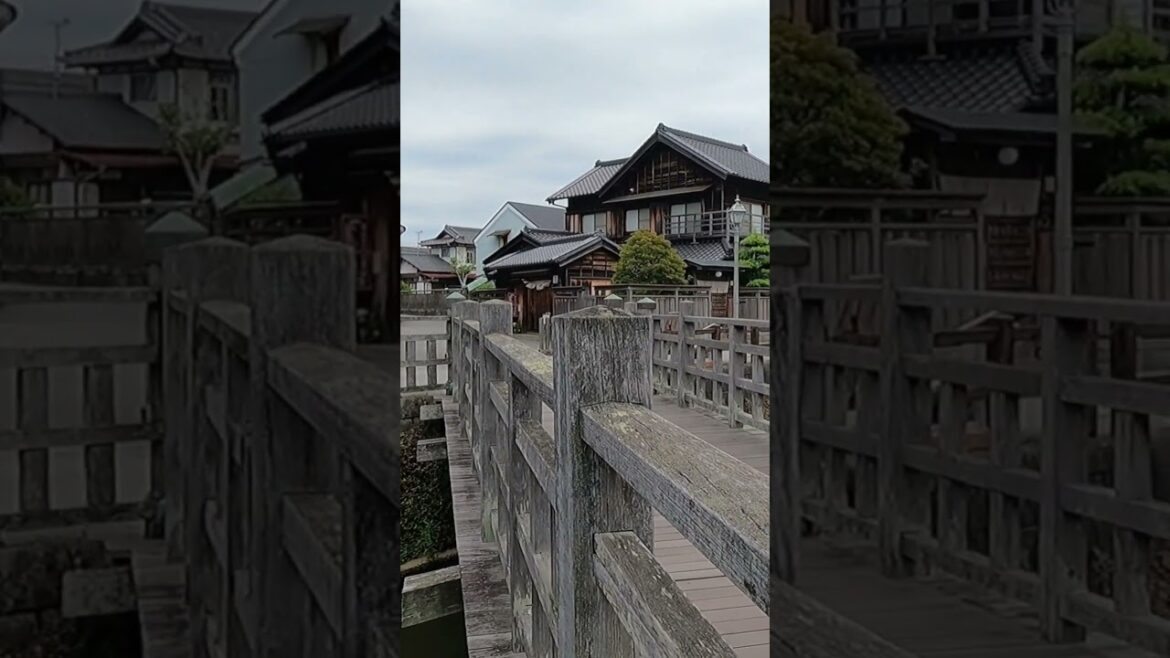 A journey through history  #japanesearchitecture #bridgedesign #chiba