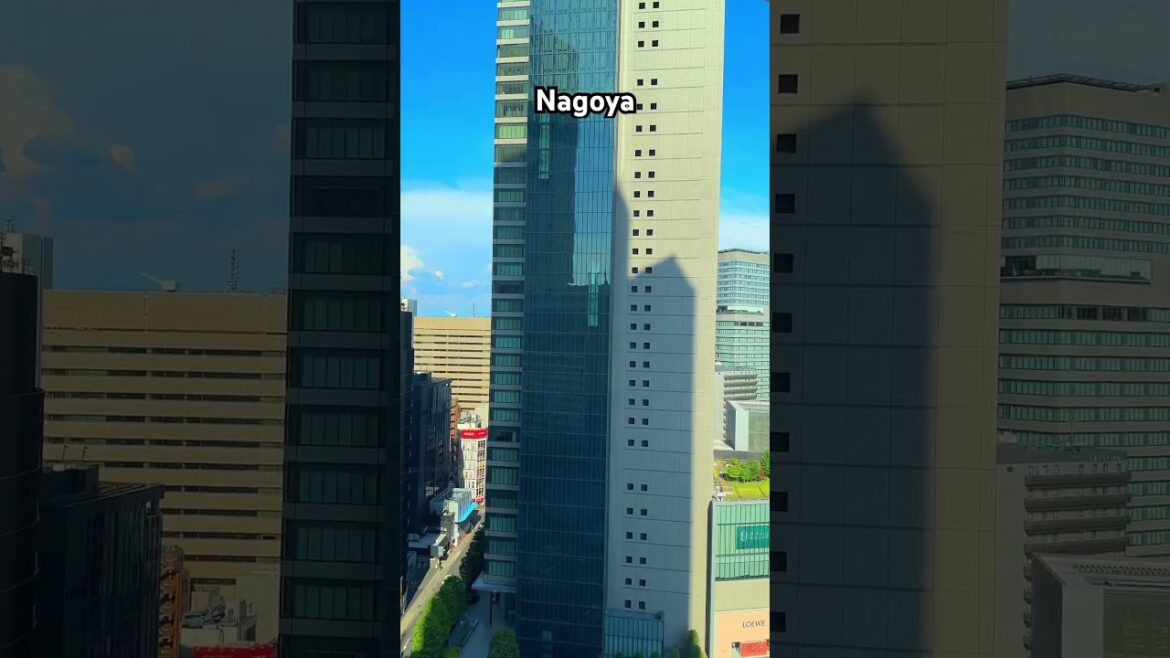 #nagoyajapan #nagoya #nepaliinjapan