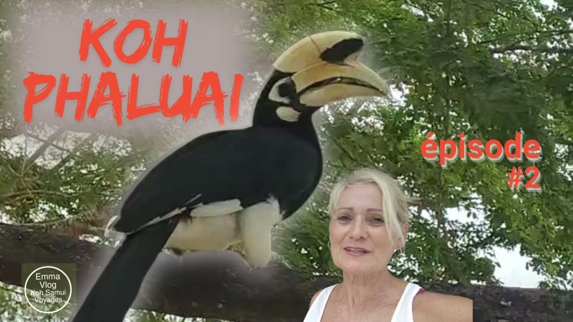 Koh Phaluai (Angthong Marine Park), calaos, immersion chez les habitants – Guide complet 2e épisode Koh Phaluai (Angthong Marine Park), calaos, immersion chez les habitants - Guide complet 2e épisode