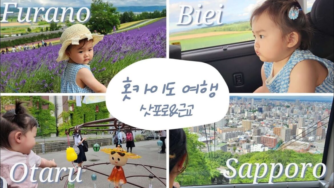 [여름 삿포로 여행] 4박5일에 오타루 비에이 후라노까지🍈 (19개월 아기와 홋카이도 여행 브이로그)