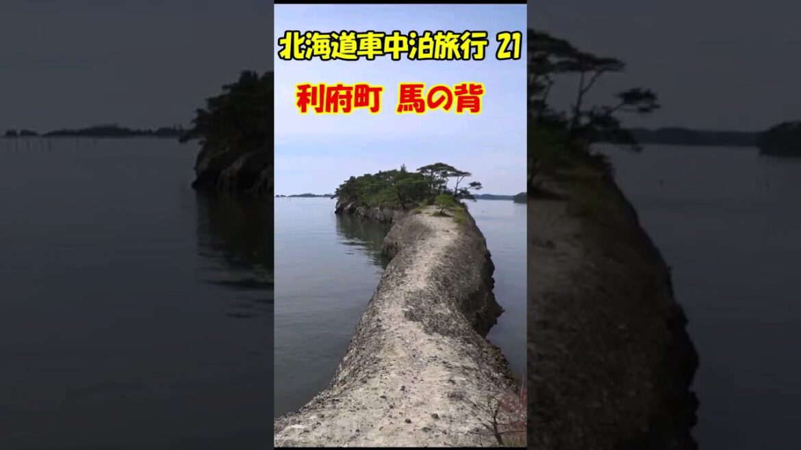 北海道車中泊旅行21 仙台 利府町天然の桟橋 表松島「馬の背」#仙台#利府町#馬の背 北海道車中泊旅行21 仙台 利府町天然の桟橋 表松島「馬の背」#仙台#利府町#馬の背